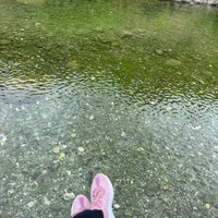 original sound - userq1pq3ckcmv