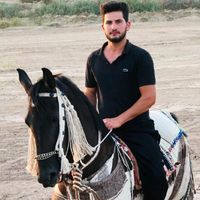 user9223141281868