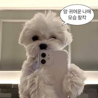 s_min