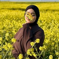 ikz_r25