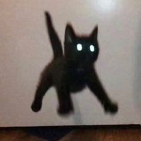 오리지널 사운드 - 紅唐菁🥕