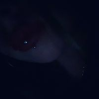niaiconlosjilesschaoo