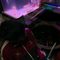 เสียงต้นฉบับ - ขี่โดโนเสาร์ ไล่จับมังกร✓
