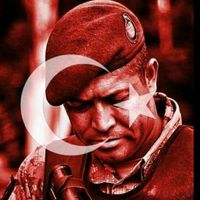 orijinal ses