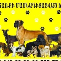 dogs_family___