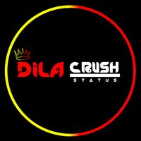 dila_crash_status