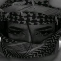 itx_noor425