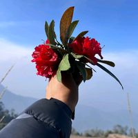sumantharu37