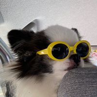 isagiyoi_gush73