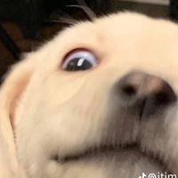 mxnnnnn_07