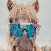 equestrian_edits80