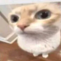 original sound - s7.rxvn