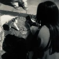 original sound - users101021