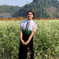 nhạc nền - mí lan 💝