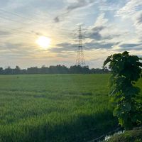 suara asli - Capcut