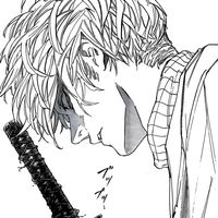 y.309h