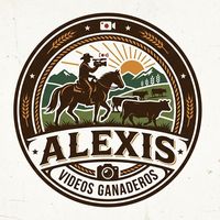 a_lexis3
