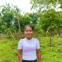 original sound - cleidin_paredes