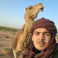 الصوت الأصلي