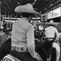 mx_contreras