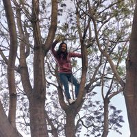 susiflores665