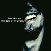 abirmahmud8877