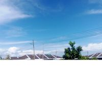 bunyi asal - Rosline