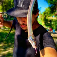 original sound - okreptiles