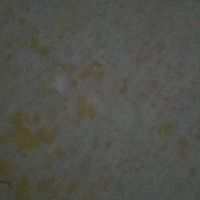 rimaplus