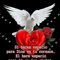 yanethmont19