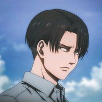 ackerman.lipa1