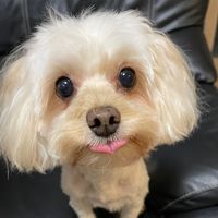 mika_m0514