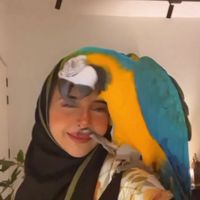 rozana_65