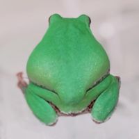 keroyon2525