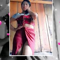 favi4219