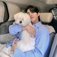 s.coups15