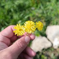 _ulviyye_05