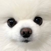 interneterorr