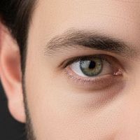 CURIO - orijinal ses