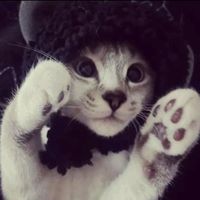 suara asli - romss🕊★