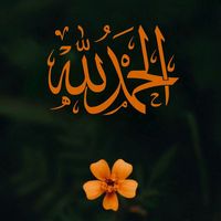 noor_altim