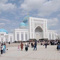 jannatguli019