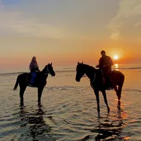 original sound - patulik.20