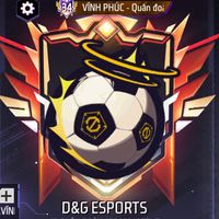 dg.esports1