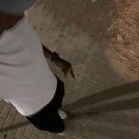 jvitor_7_