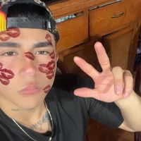 net10_hdz