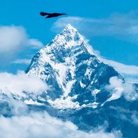 depsonbhattarai_official