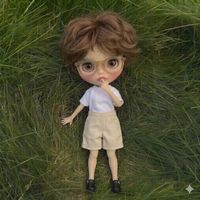 isma_2311