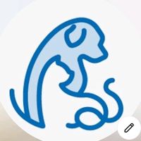 オリジナル楽曲 - SPAは保護犬猫達のお家