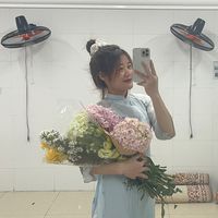 nhạc nền - Meo✈️
